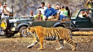 Jim Corbett National Park