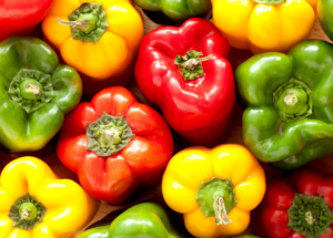 Which Capsicum is Better