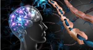 Which people have increased risk of getting multiple sclerosis?
