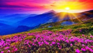 Valley of Flowers & Hemkund Sahib