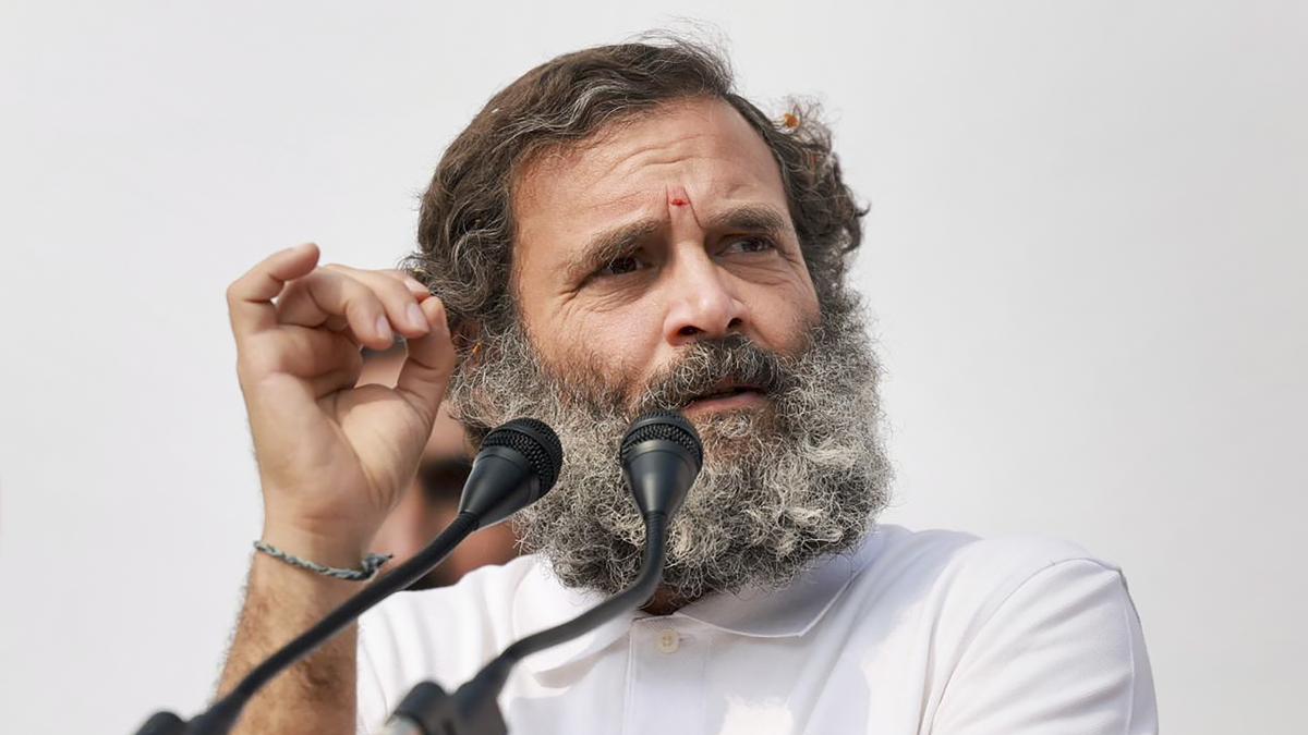 Rahul Gandhi Property