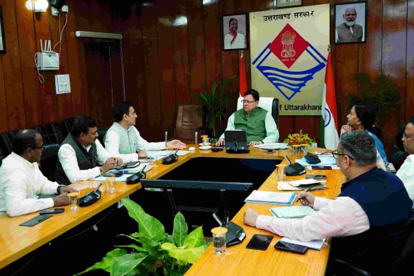 Model Animal Hospital