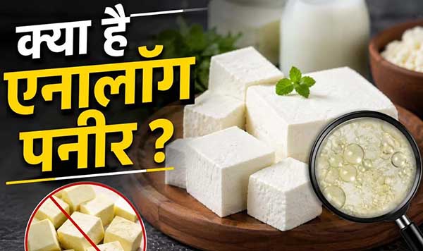 Analog Paneer Ban