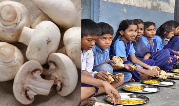 Mushroom in Mid Day Meal- उत्तराखंड के स्कूलों में मिड-डे मील में दिया जाएगा मशरूम