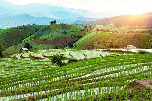 Hill Station Khirsu- मस्त टाइम काटना है तो आ जाओ यहां, दिल खुश हो जाएगा