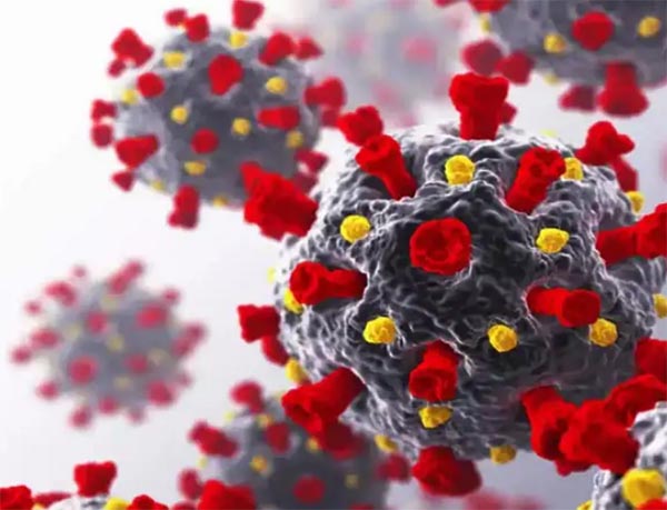 Corona Virus in Uttarakhand- उत्तराखंड में ट्रैवल हिस्ट्री वाले दो मरीजों में कोरोना वायरस की पुष्टि, विभाग अलर्ट