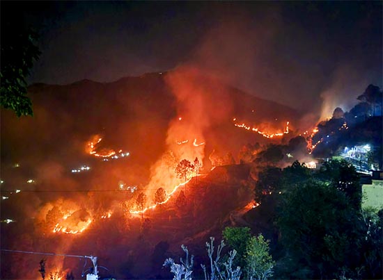 Uttarakhand Forest Fire- उत्तराखंड में जंगल की आग पर काबू, कोविड काल के बाद सबसे कम घटनाएं दर्ज