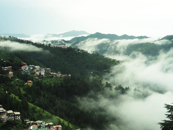Uttarakhand Weather- मैदान में झमाझम बारिश, आने वाले दिनों में जानें कैसा रहेगा हाल
