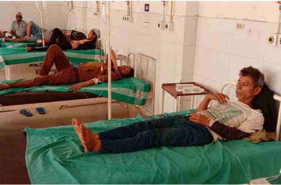 Jungli Mushroom- जंगली मशरूम खाने से सात नेपाली श्रमिकों की हालत बिगड़ी