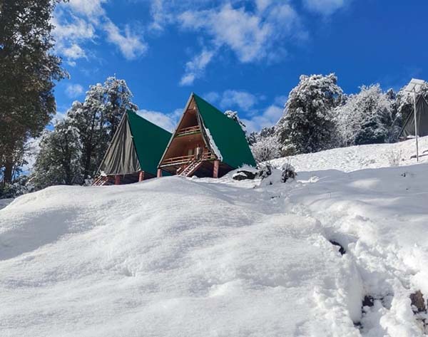 Munsiyari Eco Huts