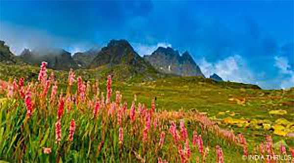 Valley of Flowers- फूलों की घाटी में समय से पहले बर्फबारी, धरती पर उतरा स्वर्ग