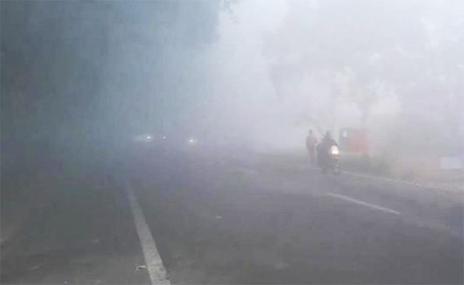 Cold Wave Uttarakhand- सुबह से छाई धुंध, देहरादून और मसूरी में बढ़ी कड़ाके की ठंड
