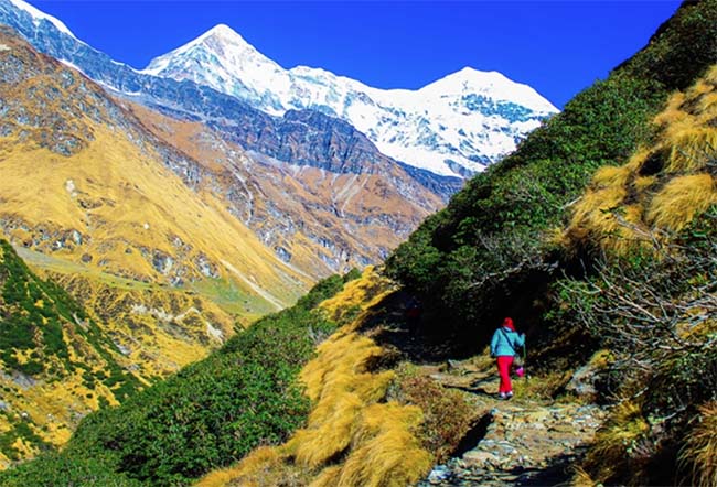 Pindari Glacier Trek