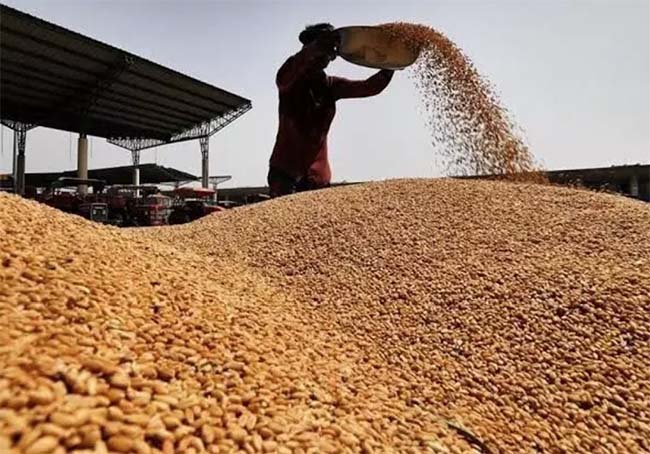 Wheat Buying Centers