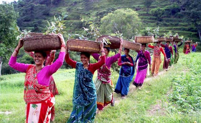 Uttarakhand Horticulture