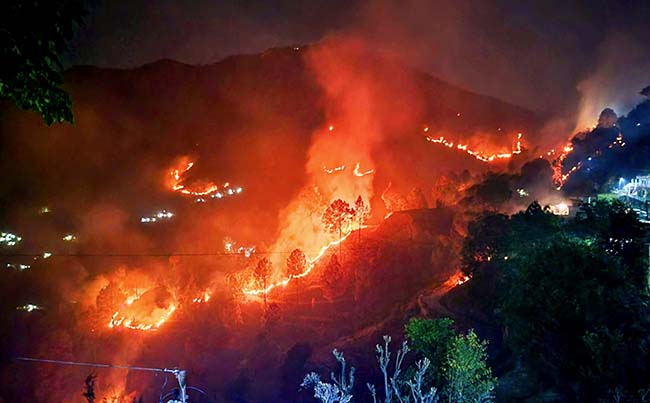 Uttarakhand Forest Fire