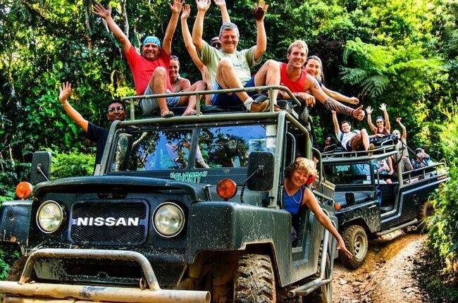 Jungle Safari Update