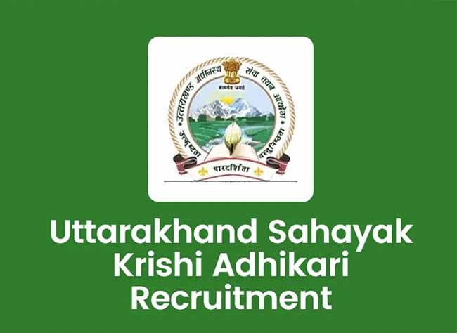 UKSSSC AAO Syllabus