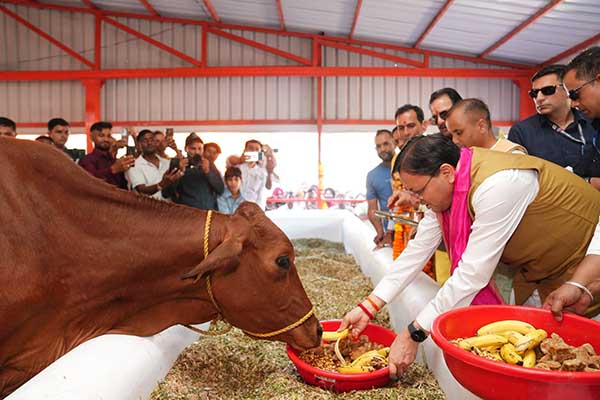 Khatima Gaushala